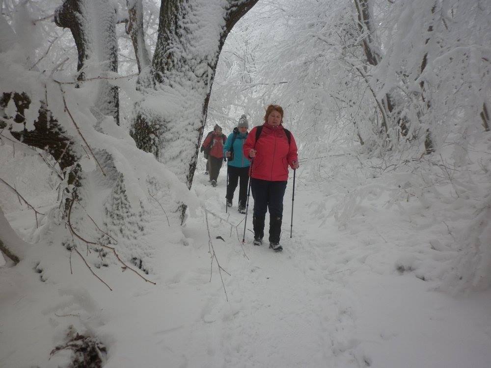 16700495 1219767951425995 537426701590365001 o